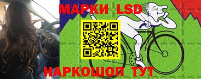 стаф Ставрополь