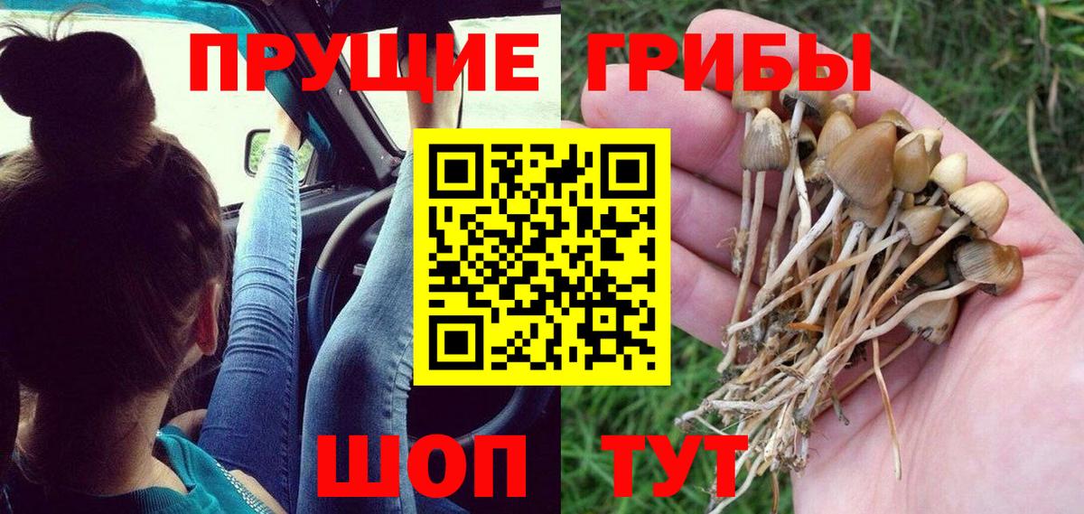 Норильск  Галлюциногенные грибы GOLDEN TEACHER  Вход с VPN 