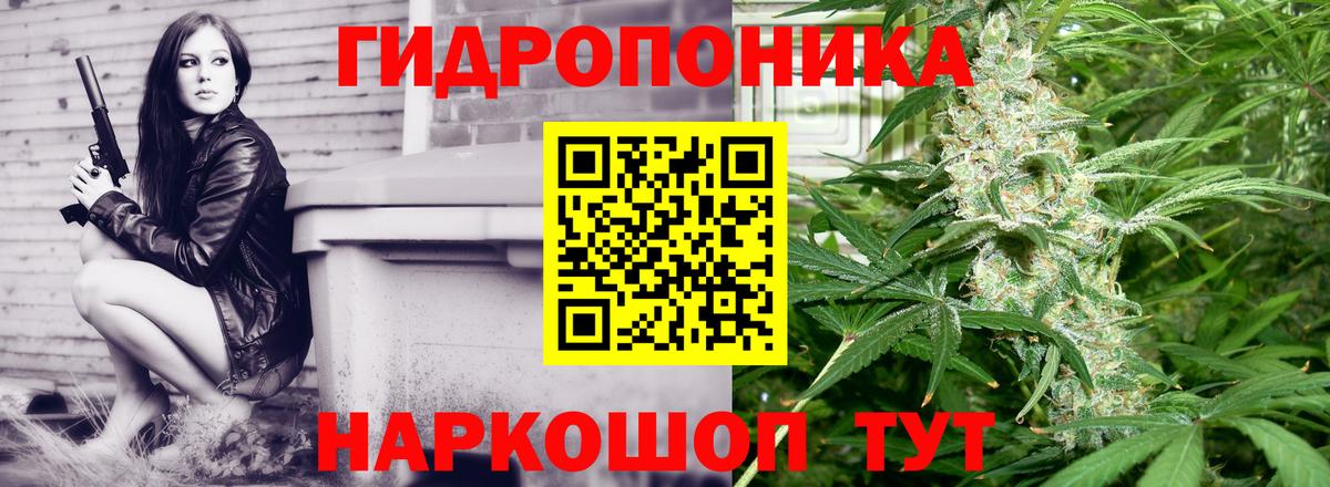 Шишки марихуана планчик Норильск